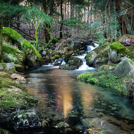 Just Like - Casa Da Sebe Em *