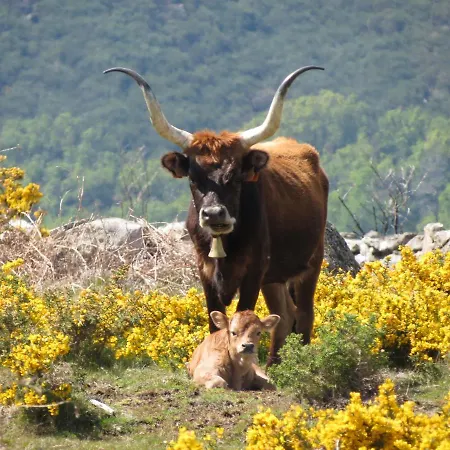 Just Like - Casa Da Sebe Em Villa