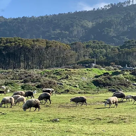 别墅 Just Like - Casa Da Sebe Em *