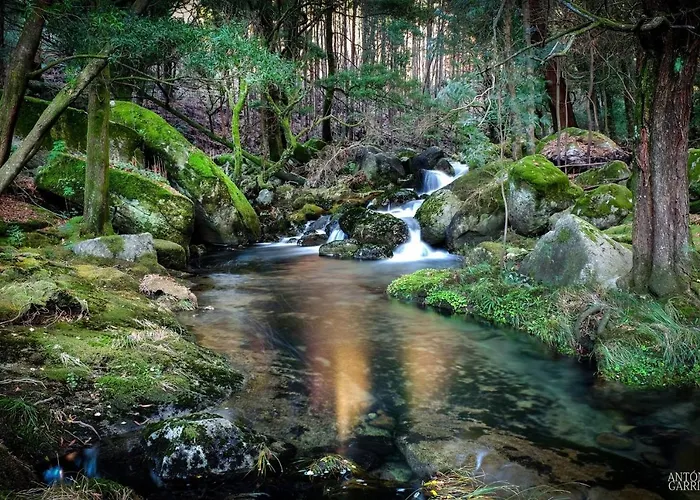 Just Like - Casa Da Sebe Em *