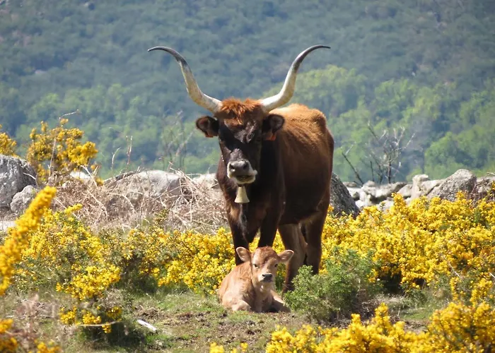 Just Like - Casa Da Sebe Em Villa