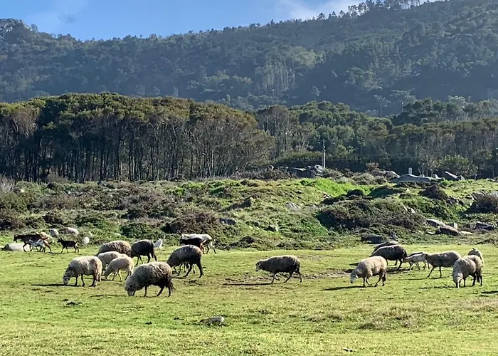 Villa Just Like - Casa Da Sebe Em *